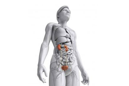 điều trị bệnh thận bằng tế bào gốc