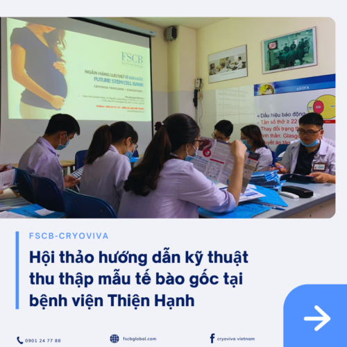 thu thập tế bào gốc