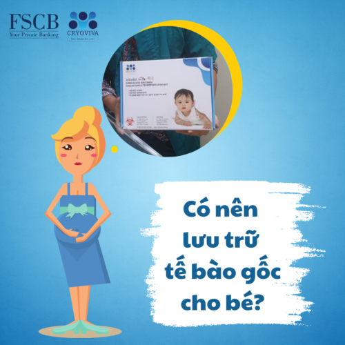 lưu trữ tế bào gốc