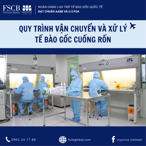 lưu trữ tế bào gốc