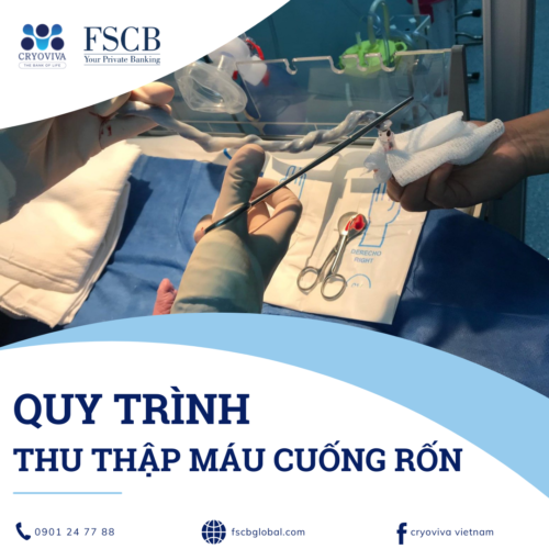 thu thập máu cuống rốn