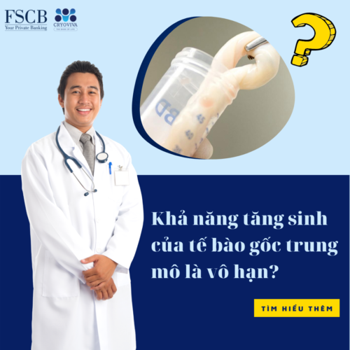 tế bào gốc trung mô