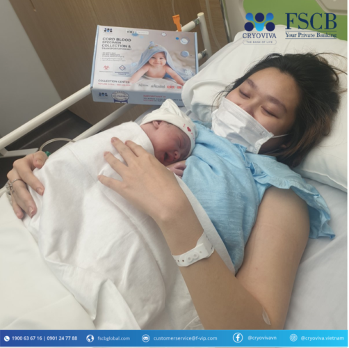 lưu trữ tế bào gốc