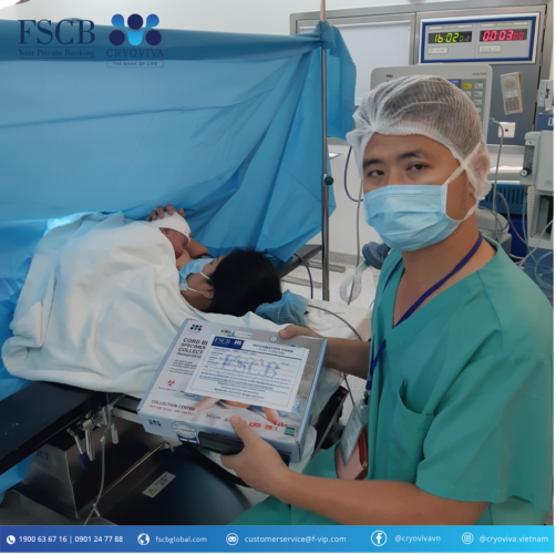 lưu trữ tế bào gốc