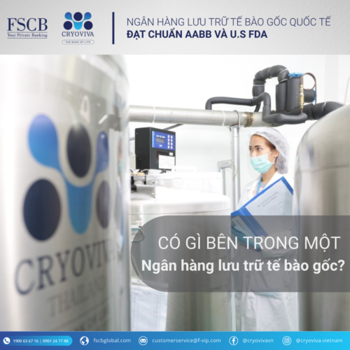ngân hàng lưu trữ tế bào gốc