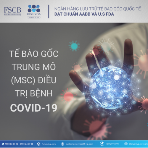 tế bào gốc trung mô msc điều trị covid-19