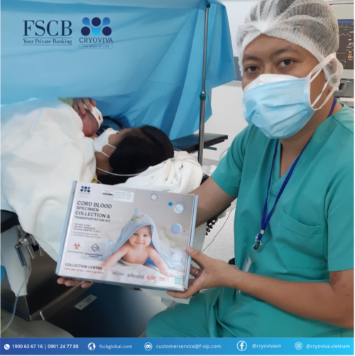 lưu trữ tế bào gốc
