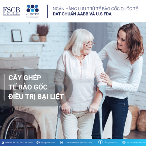 cấy ghép tế bào gốc điều trị bại liệt