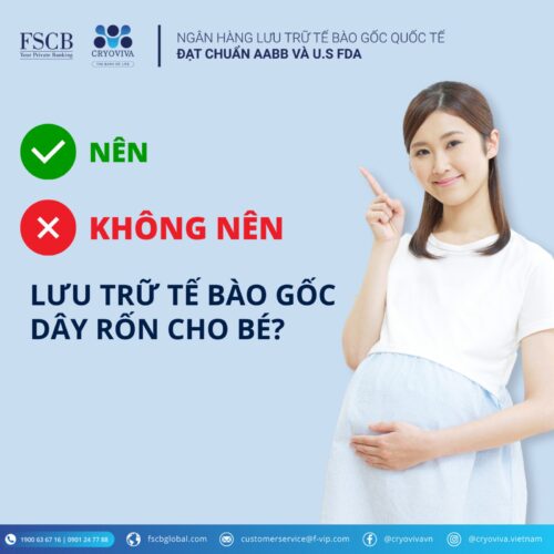 nên hay không nên lưu trữ tế bào gốc