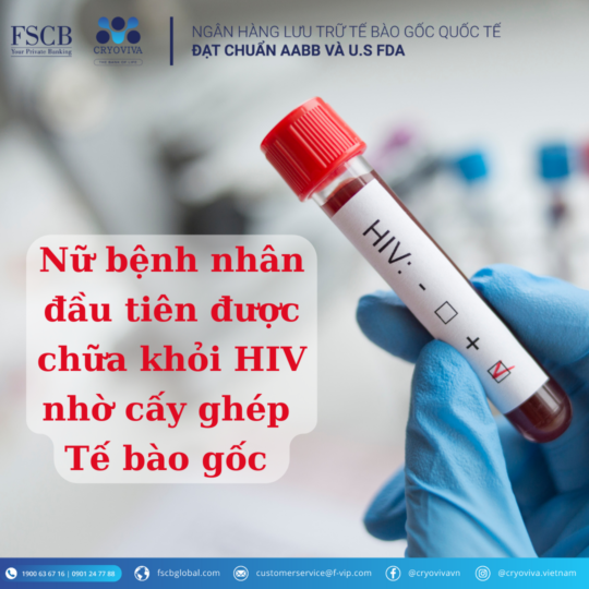 chữa khỏi hiv nhờ cấy ghép tế bào gốc
